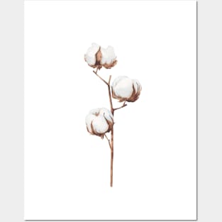 Cotton branch illustration Posters and Art